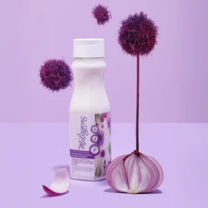 Acondicionador de cebolla de milagros Acondicionador de cebolla de milagros en Palmira